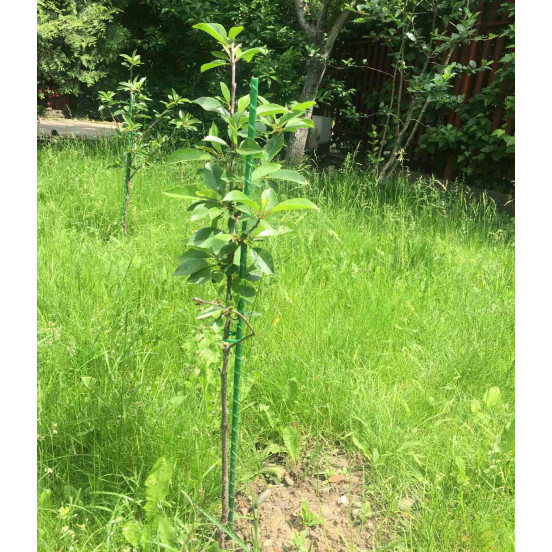 Kompozytowe podpory do roślin LIGHTgreen 10 mm x 200 cm